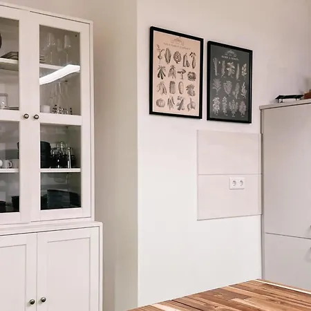公寓 Lichtloft Pirna Altstadt Mit 4 Schlafzimmer Und Xxl Wohnkueche