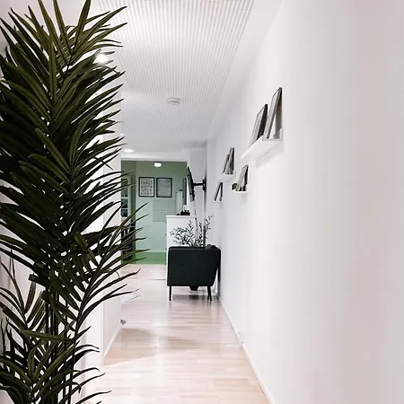 公寓 Lichtloft Pirna Altstadt Mit 4 Schlafzimmer Und Xxl Wohnkueche 皮尔纳